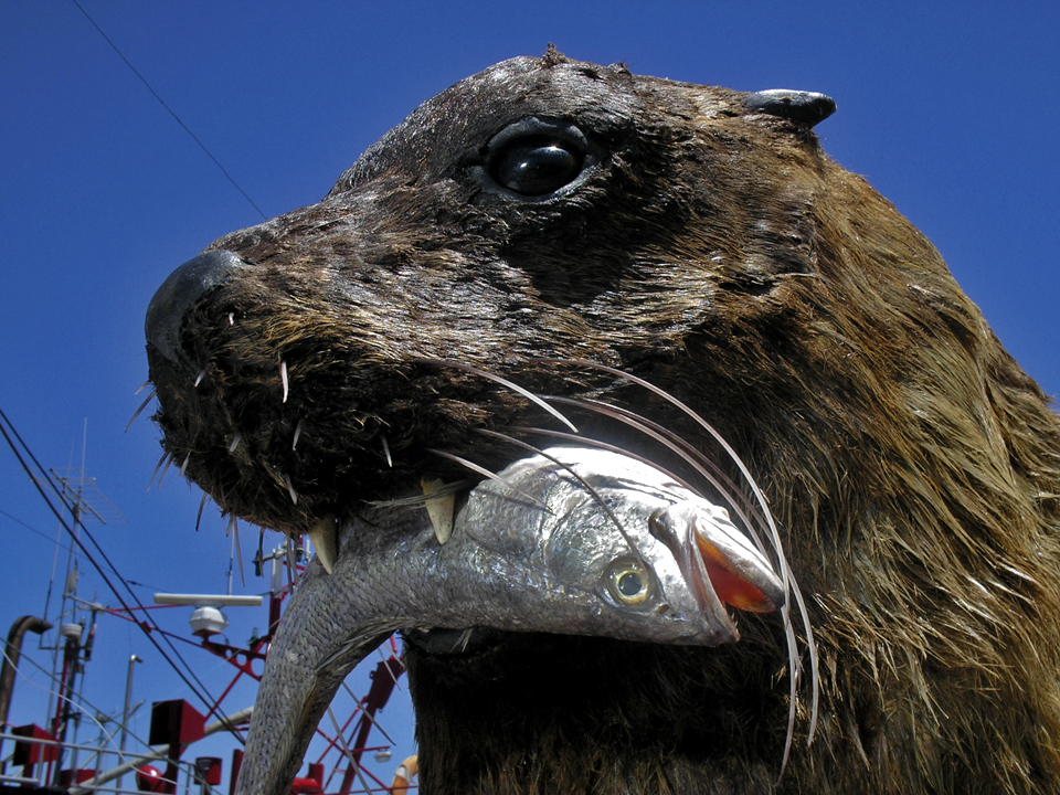 Sea Lion-Man Costume